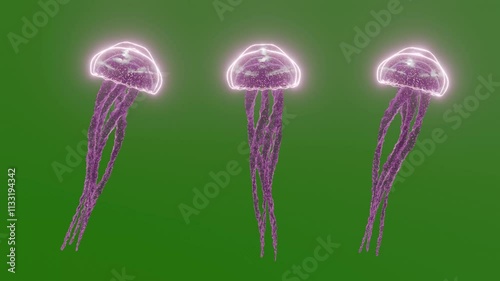 jellyfish animation on green screen