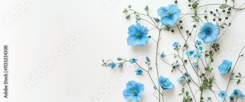 Fresh blue flowers intertwined with green leaves create an elegant floral arrangement