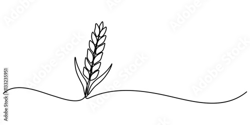 Ears of  wheat  one continuous line drawing .Fall harvest line art. Vector  one line of spikelet . Thanksgiving symbol.Grain, One continuous line. Spikelet of wheat. Spikelet of a cereal plant. Flat.