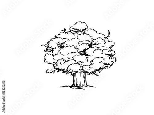 a tree with roots and braches sketch illustration isolated on white background 