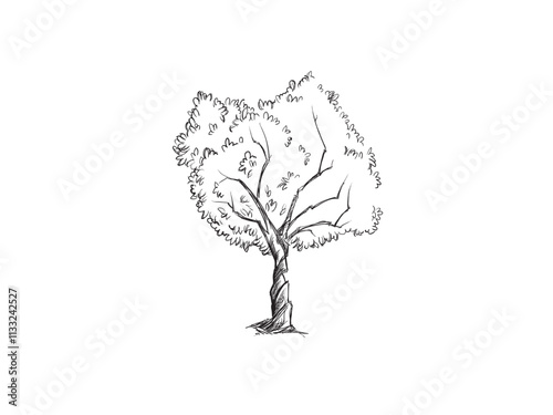 a tree with roots and braches sketch illustration isolated on white background 