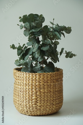 A fresh bouquet of flowers overflowing from a woven basket, a vibrant display of nature's beauty photo