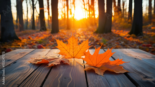 autumn leaves in the park  photo