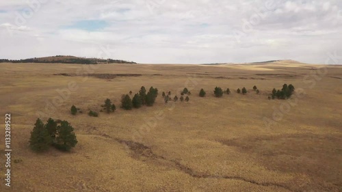 Flying over golden grasslands with patches of sunlight.