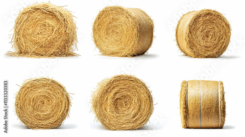 hay baleson isolated on a white background photo