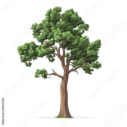 Minimalist flat illustration of a cedar tree, featuring a clean design isolated on a white background.

