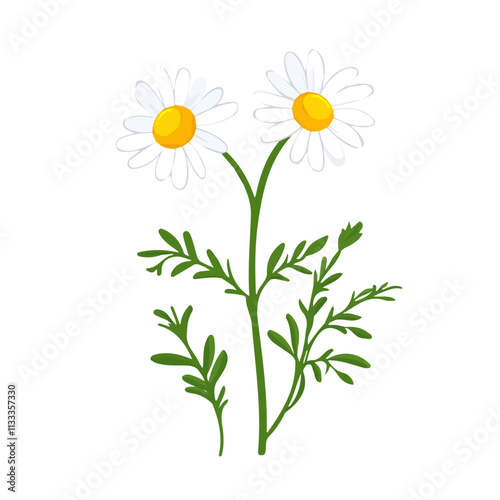 Minimalist flat illustration of chamomile, featuring a clean design isolated on a white background.

