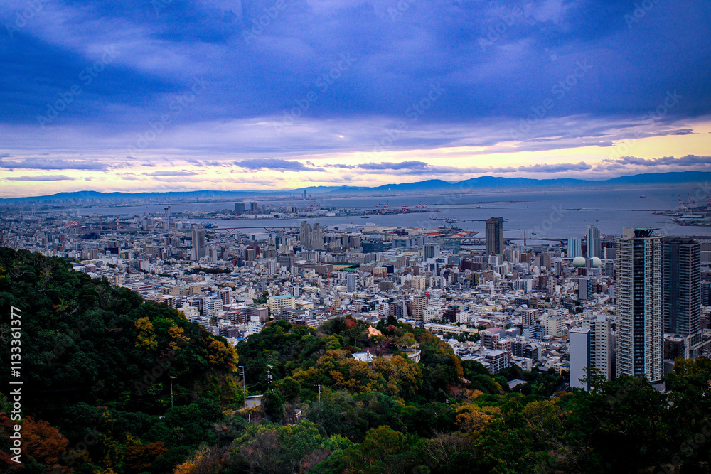 Fototapeta premium Japan cityscape