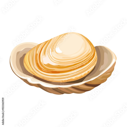 Minimalist flat illustration of a clam, featuring a clean design isolated on a white background.

