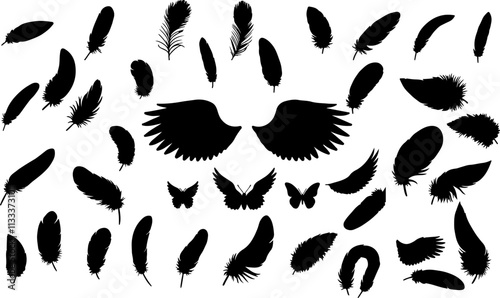 Wings and Feather Silhouettes