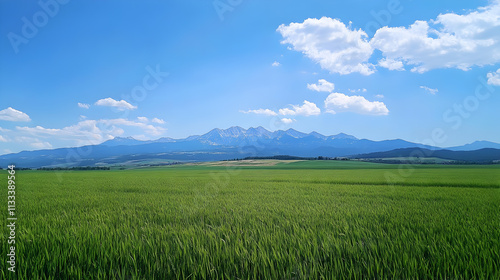 green field and blue sky