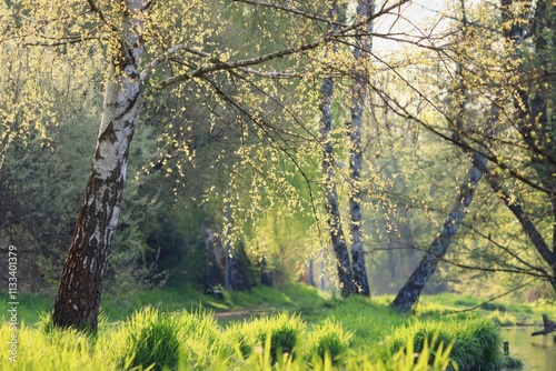 Fototapeta Naklejka Na Ścianę i Meble -  wiosenny klimat