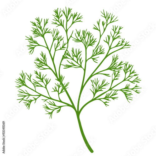 Minimalist flat illustration of dill, featuring a clean design isolated on a white background.

