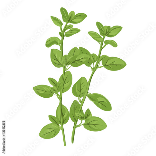 Minimalist flat illustration of oregano, featuring a clean design isolated on a white background.