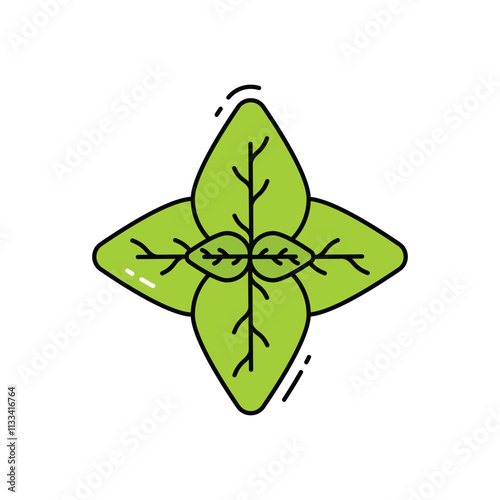 Basil vector icon