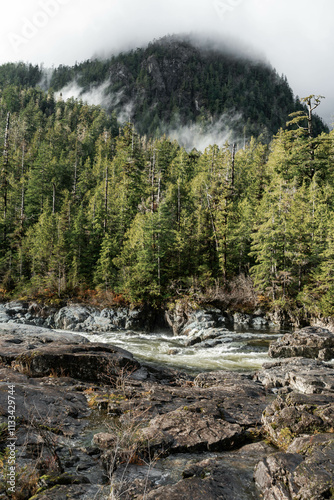 Ha'uukmin Tribal Park Waterfall - Tofino, Clayoquot Sound, Vancouver Island, British Columbia, Canada photo