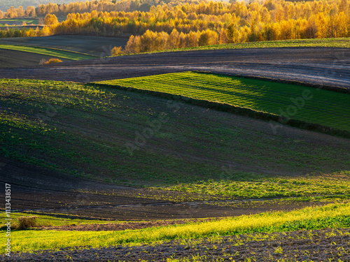 An autumn agricultural landscape.. Here is an image depicting an autumn agricultural landscape with picturesque fields, trees in fall colors, and a peaceful rural setting. Roztocze. Poland.