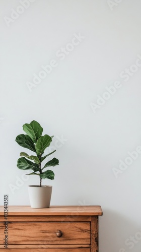 Stylish wooden sideboard with potted plant and decorative vase in modern inte...