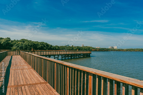 The Mallorquín swamp seen from the pier and blue sky. Barranquilla, Atlantico, Colombia.