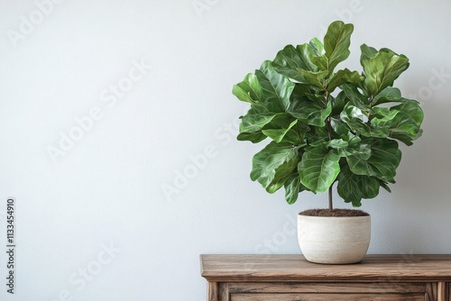 Elegant indoor plants on a wooden table creating a serene home atmosphere