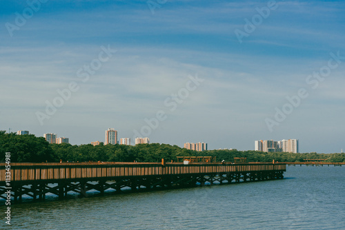 The Mallorquín swamp seen from the pier and blue sky. Barranquilla, Atlantico, Colombia. photo