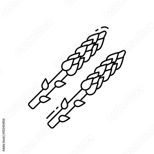 Asparagus vector icon