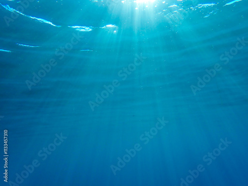 The sun shines through water, casting mottled light and shadow, intertwined with countless bubbles underwater, like a dance of light. Various aquatic plants sway gently in water in Mediterranean sea. photo