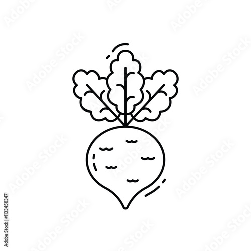 Kohlrabi vector icon