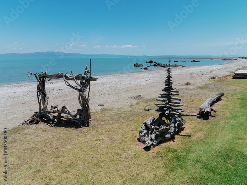 Driftwood art installations on a beach. Nature's sculptures, a beautiful coastal scene. TE MATA, THAMES, COROMANDEL PENINSULA, NEW ZEALAND photo