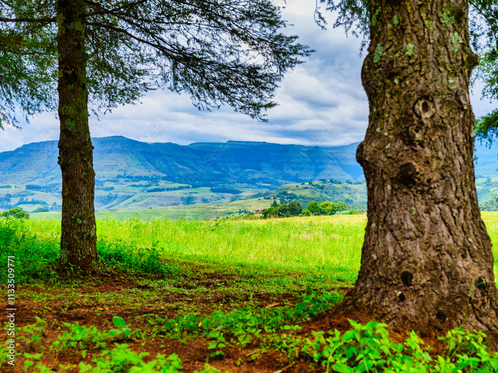 Drakensberg mountain peak framed in trees, highlighting the scenic and tranquil landscape, KwaZulu-Natal, South Africa
