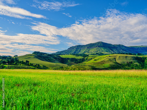 Obraz na płótnie Gentle rolling hills and Drakensberg mountains in the background of a green grassland under a blue sky with fluffy white clouds, KwaZulu-Natal, South Africa w salonie