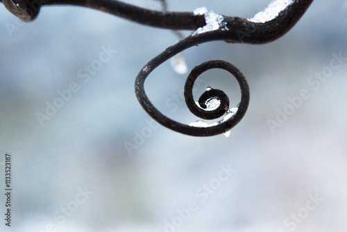 Frozen vine spiral covered in ice and frost, symbolizing natural cycles, balance, and waldorf anthroposophic spirituality,  growth and renewal, nature geometry design. Blurred background. Copy space photo