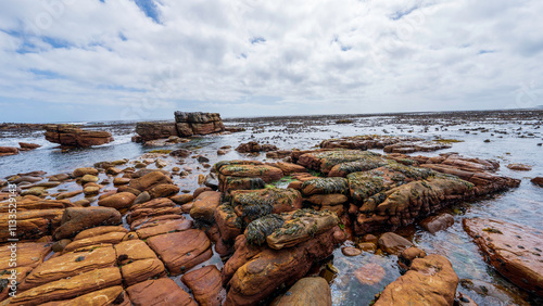 Scenic view of Maclear Beach at low tide, Cape Point Nature Reserve, South Africa