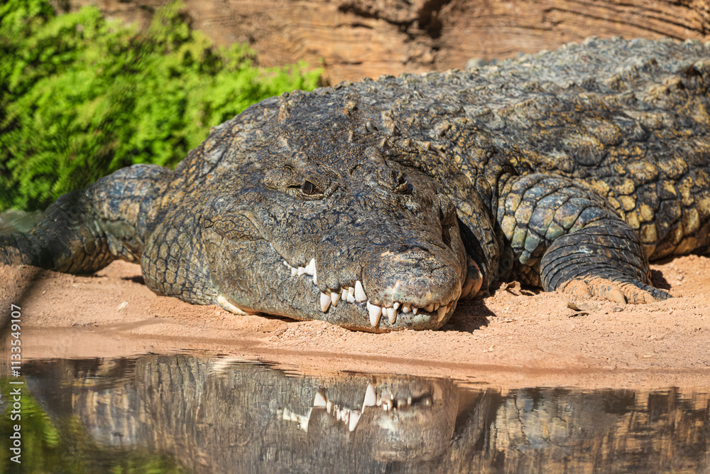 Obraz premium Generated image