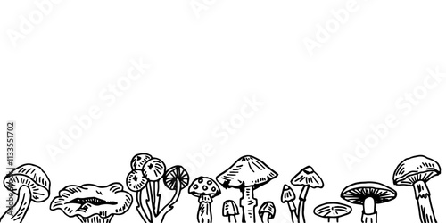 Black and white line drawing of a variety of mushrooms, cartoon background.