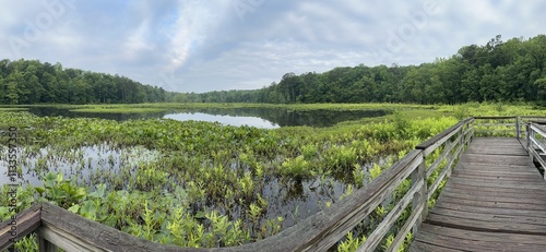 wooden pier on the lake summer in Southern United states