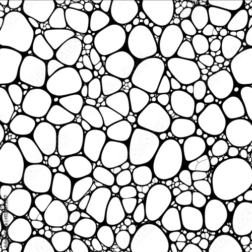 Voronoi diagram pattern bubble pattern geometric line drawing high resolution photo