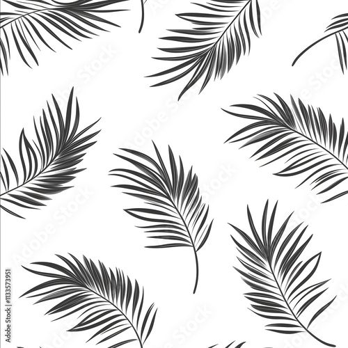 Pattern with ArecaPalm leafs minimalistic vector Black and white photo