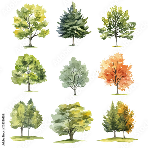 tree Illustration for Design Plan Of architecture and landscape. tree watercolor presentation plan set isolated on a white background, vector, hand drawn tree for spring and autumn and winter season