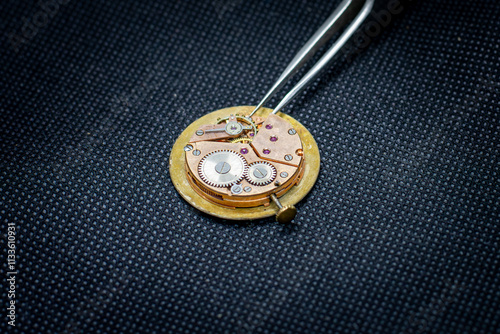 watch mechanism bearings jewels gears and balance wheel watchmaker and tweezers
