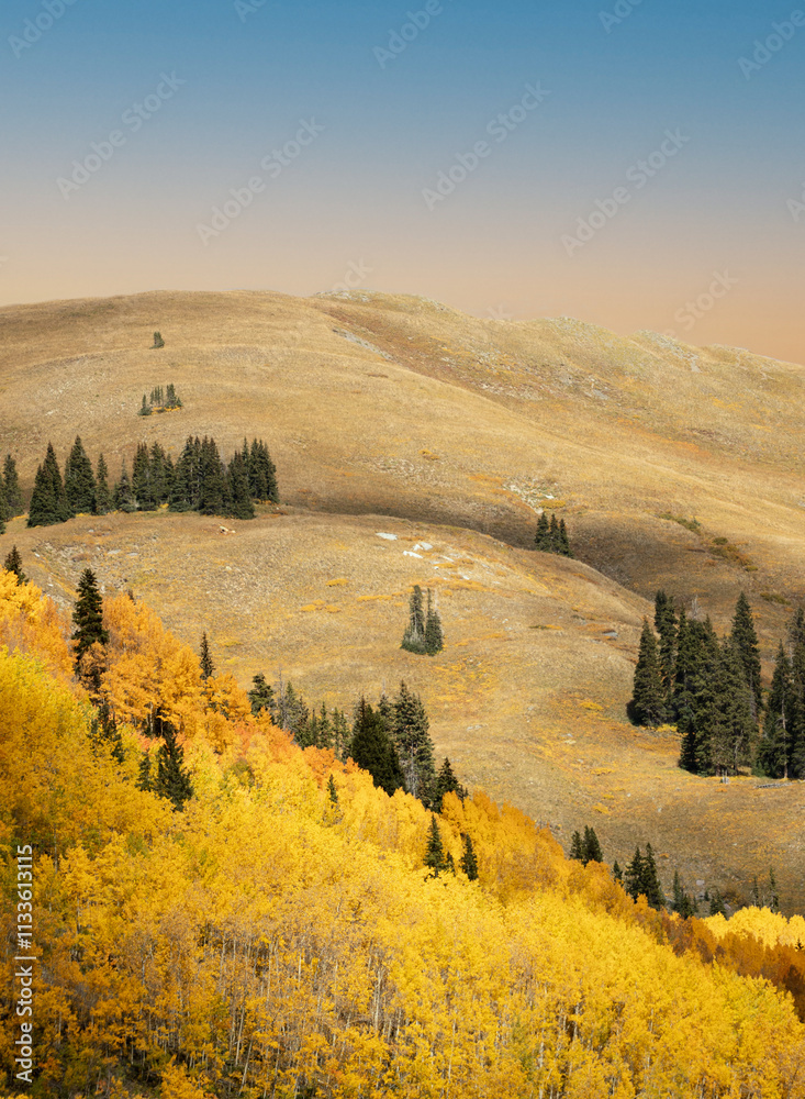 Fototapeta premium Golden Fall Days of Colorado