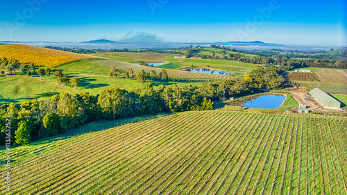 Overhead view of a vineyard in the Yarra Valley near Yarra Glen with dams and hills beyond