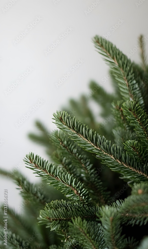 christmas tree with no decorations on a white background, Generative AI christmas tree with no decorations on a white background, Generative AI