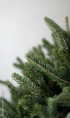 christmas tree with no decorations on a white background, Generative AI