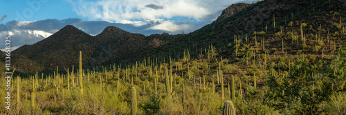 Panorama Of Shadows Begin To Blanket Wassen Peak And The Western Side Of Saguaro photo