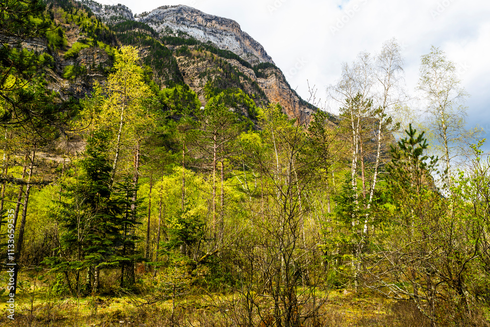 Ordesa and Monte Perdido National Park - Aragonese Pyrenees Ordesa and Monte Perdido National Park - Aragonese Pyrenees