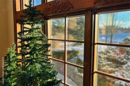 Christmas tree in window