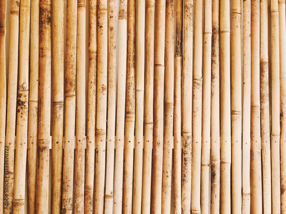 Naklejka premium bamboo background