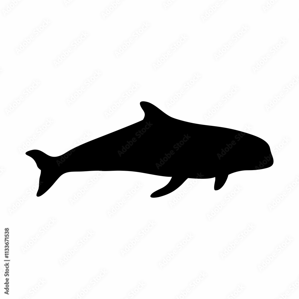 Fototapeta premium black silhouette of orca whale