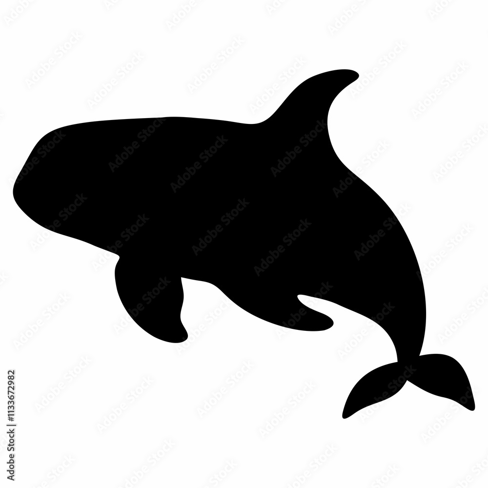 Fototapeta premium black silhouette of orca whale